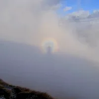 original sound - finding_dory.x