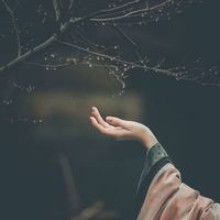 الصوت الأصلي