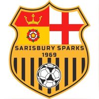 sarisbury.sparks