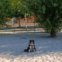 bel_vaz1825