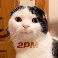 petpawmemes
