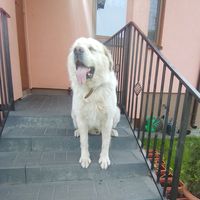 tiktok.commagdalena.chal