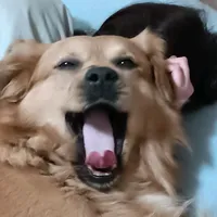 original sound - sweet.khry