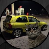 yellow_corsa.b
