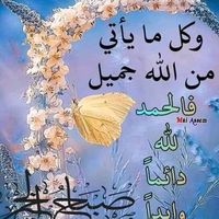 user29420947568642