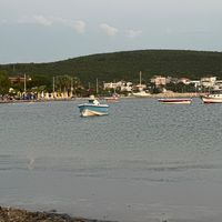 orijinal ses