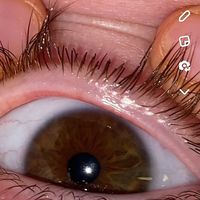 shopping_addiction12