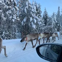 original sound - skiit0k