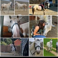 horses_is_my_life13