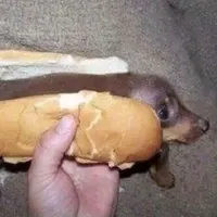 original sound - youarethecoff1n