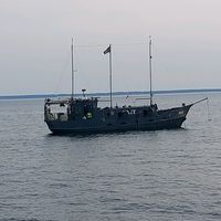 оригинальный звук