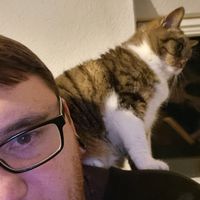 cb_funk_aus_mecklenburg