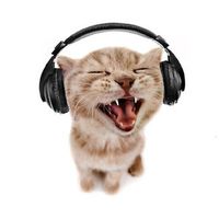 original sound