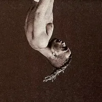 original sound - facevro