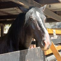 eqslideshow