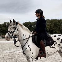avaconnershowjumping