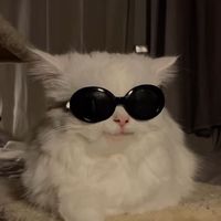 оригінальний звук