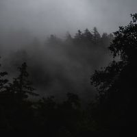 ._midnightmuse_