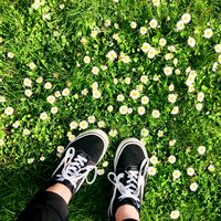 rec0very.is.possible