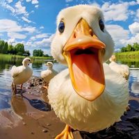 nhạc nền - 小花🌸