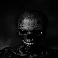 Lil border hoppers slowed