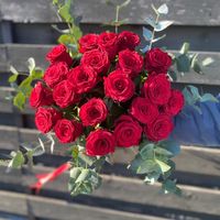 elisabeth_madalina21