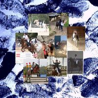 _.collab._.equitation_
