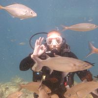 together_we_stand2022