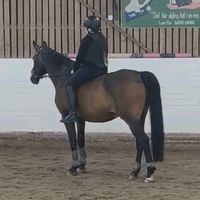 philipsvitzerfanpage