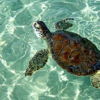 oceansloverss