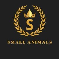 small1animals