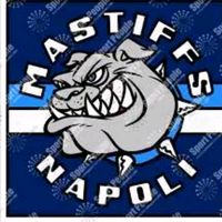 mastiffsnapoli1991