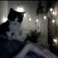 оригинальный звук