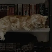 original sound - islamformyheart