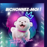 bichonnezmoitoilettage