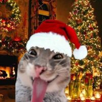 christmas_.dreamss