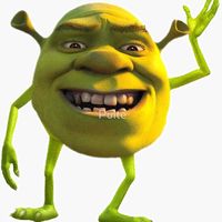filsdeshrek1