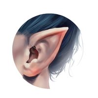 aarantheartist
