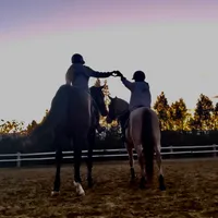 original sound - steph.aeisha