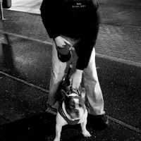 065_fratello