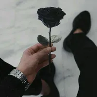 original sound - user7709031388250