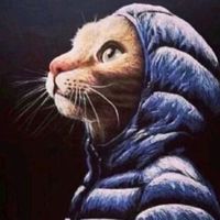 оригинальный звук