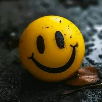 original sound - mjf0015