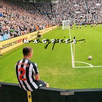 magpies.toon