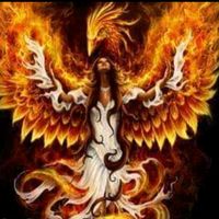 elavefenix.resugir