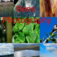 bensphotography1