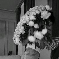 soyloca31