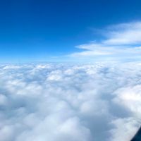 butterflyjasminephotos