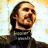 original sound - hoziersvocals