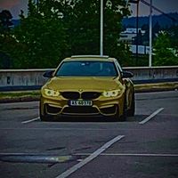swgycrs